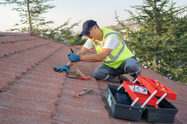 Quick and Trustworthy Emergency Roof Repair Services in Willmar, MN