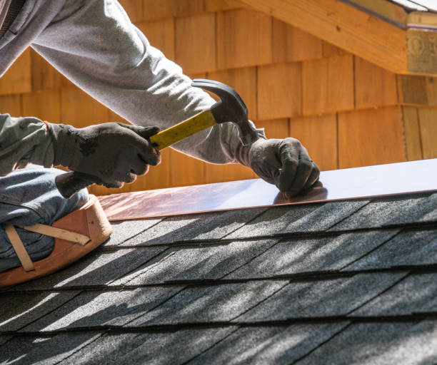 Best Roof Repair Services  in Willmar, MN
